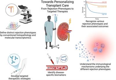 Shedding Light on Microvascular Inflammation: Understanding Outcomes, But What Sparks the Flame?